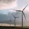 Nature & Ecologie